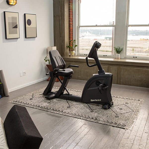 C55R - Recumbent Bike