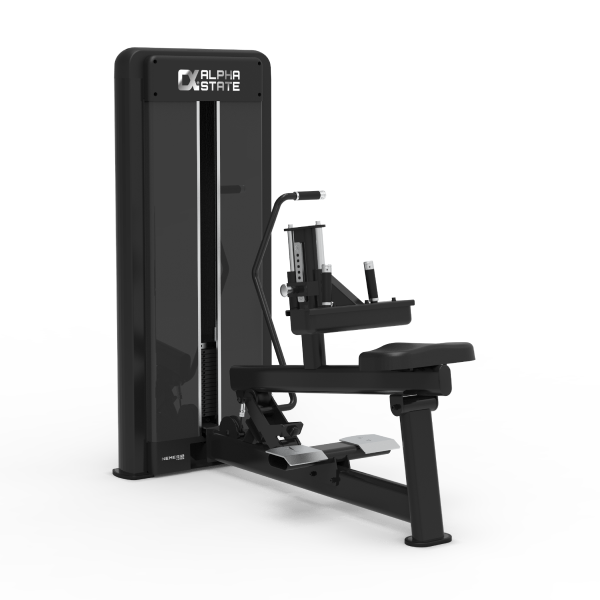 Seated Calf - Nemesis Series Selectorized