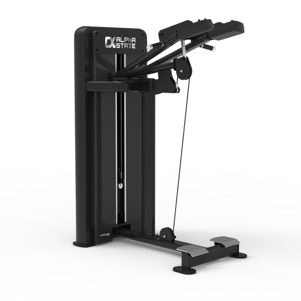 Standing Calf - Nemesis Series Selectorized