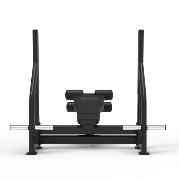 Olympic Decline Bench - Nemesis Series Free Weight